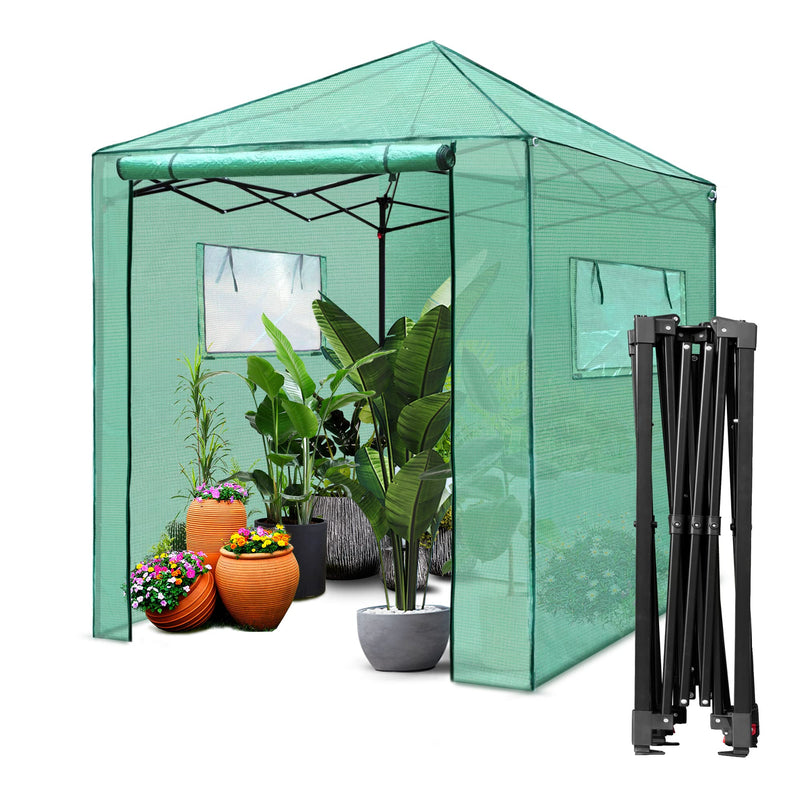 PEXFIX 6'X 5' PORTABLE WALK-IN GREENHOUSE EASY SETUP GARDEN GREEN HOUSES - GREEN - Like New