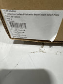 FORTESSA CT.ICE.VG.804 ICELAND SALAD PLATE 8.5" X 1.75" 22X4 - PACK OF 4 - GRAY - Like New