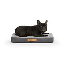 YANXUAN Dog Mat Memory Foam Chic Cat Bed, Double-Sided, Washable Cover,Medium - Like New