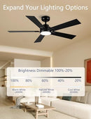 Modern Ceiling Fans with Lights - 52" Black Outdoor Ceiling Fan with Light - Like New