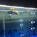 22.8" x 22.8" Aquarium Fish Tank 120 Gallon Acrylic Divider B07BB3C8Y8 - NEW - Brand New