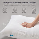 Bedsure Pillows Standard Size Set of 2 Sleep Quality Firm Standard Pillows - Brand New