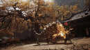 PM STUDIOS BLACK MYTH: WUKONG - PLAYSTATION 5 - Like New