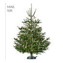Krinner Tree Genie XL Tree Stand Fits 10 ft Trees B0DK43STX8 - Green - Brand New