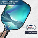 FILDREE PICKLEBALL PADDLES USAPA APPROVED PICKLEBALL PADDLES - BLUE/BLACK - Like New