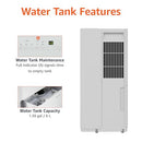 AMAZON BASICS 50-PINT LARGE DEHUMIDIFIER WITH PUMP - WHITE - Like New