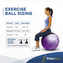 Fitter Duraball Pro 65 CM - Brand New