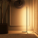 Overstock 55" RGB Metal Corner Lamp Minimalist LED Floor Lamp 1 Lamp FLRL0920-BK - Like New