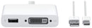 APPLE MINI DISPLAYPORT TO DUAL-LINK DVI ADAPTER - WHITE - Like New