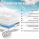 Deep Sleep Queen Mattress 10 Inch in a Box, Cloud Euro Top Soft Hybrid Mattress - Like New