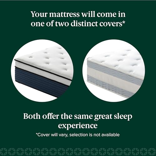 ZINUS 10 Inch Comfort Support Hybrid Mattress, Queen ZU-MSHO1SZI-10Q - White - Like New