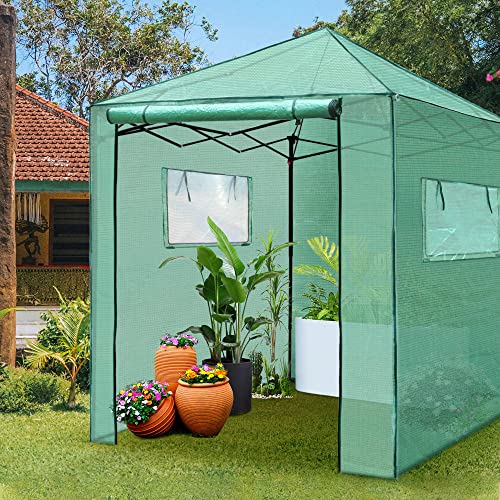 PEXFIX 8'X 8' PORTABLE WALK-IN GREENHOUSE EASY SETUP A-GE06016-USAM026 - GREEN - Like New