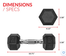 GENERIC 10LBS DUMBBELL - BLACK - Like New