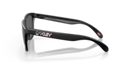 OAKLEY STANDARD ISSUE FROGSKINS USA FLAG MATTE BLACK USA FLAG - LENS PRIZM BLACK - Like New