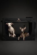 NOAH & PAW COLLAPSIBLE DOG CRATE 30 INCHES, LARGE DOG CRATE, 30*21*21 - BLACK - Like New