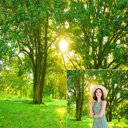 DULUXYKL SPRING BACKDROP GREEN FOREST PHOTO BACKDROPS 10X10FT JUNGLE GRASSLAND - Like New