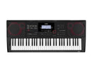 CASIO 61-KEY PORTABLE ARRANGER KEYBOARD 800 TONES 235 RHYTHMS DSP EFFECTS - Like New