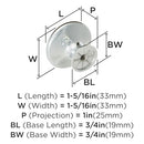 AMEROCK CABINET KNOB 1-5/16 INCH (33 MM) DIAMETER INSPIRATIONS 10 PACK - CHROME - Brand New