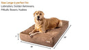 Barker Beds Large Orthopedic Dog Bed - 7" Memory Foam Mattress - 50-70 lbs - Like New