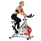 SUNNY HEALTH & FITNESS BELT DRIVE PRO INDOOR CYCLING BIKE - SF-B901B - GRAY - Like New