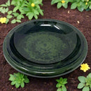 Tierra Birds and Beyond 4-8181T Gloss Bird Bath Bowl with Gloss Rim - Green - Brand New