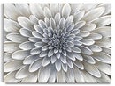 Yihui Arts White Flower Canvas Wall Art Floral Artwork Print with Embellishment - Brand New