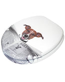 Sanilo ROUND, Silent Slow Close, Molded Wood, Adjustable Toilet Seat - Newspaper - Brand New