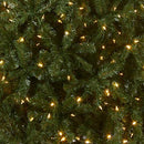 NATIONAL TREE 7.5FT PRE-LIT NORTH VALLEY SPRUCE ARTIFICIAL CW-114024SRD-1 -GREEN - Like New