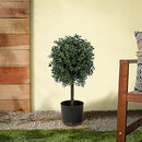 NATIONAL TREE COMPANY 24 IN ARTIFICIAL BOXWOOD SINGLE BALL TOPIARY - GREEN - Like New