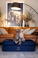 NOAH & PAW LARGE DOG BED 35X25X11 ORTHOPEDIC DOG BEDS DENIM SOFA COLLECTION - Brand New