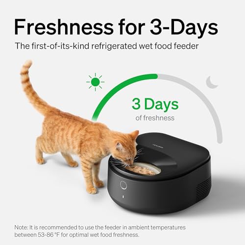 PETLIBRO POLAR SMART WET FOOD FEEDER - BLACK - Like New