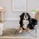 CARLSON THE POTABLE PUP PET BED FOR HOME OR ON THE GO 47" BY 47" - GRAY - Like New