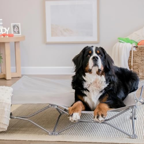 CARLSON THE POTABLE PUP PET BED FOR HOME OR ON THE GO 47" BY 47" - GRAY - Like New