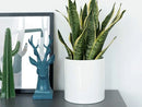 POTEY 8" GLAZED CERAMIC INDOOR PLANTER POT - WHITE - Like New