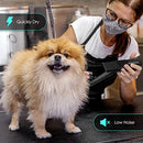 WINNIE HOME DOG BLOW DRYER 3.2HP HIGH VELOCITY PROFESSIONAL PET STL1902 - BLACK - Like New