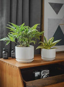 LE TAUCI Ceramic Plant Pots, 4.3+5.3+6.8 inch, Set of 3, Planters, White - Like New
