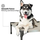 FIOCCO Elevated Dog Bed - Chew Proof Mesh for Large Dogs B0CL6LTJL5 - Beige - Like New