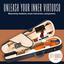 CECILIO 4/4 VIOLIN SET FULL SIZE FIDDLE SOLIDWOOD EBONY - MAPLE VARNISH - Like New