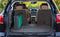 PET GEAR SUPERTRAX RAMPS DOGS CATS MAXIMUM TRACTION, PG9166GRSXU2 - BLACK/GREEN - Like New