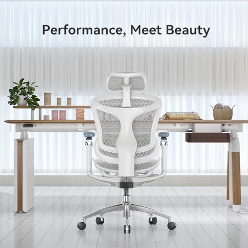 SIHOO DORO C300 PRO ERGONOMIC OFFICE CHAIR WITH ULTRA-SOFT 6D C300-M102 - GRAY - Like New