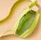 BLOGILATES BELT BAG - LIME GREEN - Like New