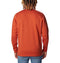 1957931 Columbia Men's Trek Crew CSC Sleeve Logo Warp Red L - Brand New