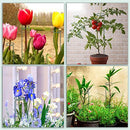 18" Tall 5 Stakes Plant Stake Support Garden Single Stem Support Stake - Brand New
