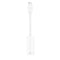 Belkin USB-C to Gigabit Ethernet Adapter - Like New