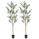 SUNNYDAZE DECOR ARTIFICIAL OLIVE TREE 7FT SILK LEAVES BLACK PLANTER BASE 2 PCS - Like New