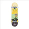 REDO SKATEBOARD CO. 28" STANDARD SKATEBOARD - POPSICLE - Brand New