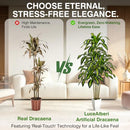 LuceAlberi 5FT Faux Dracaena Plant with Planter & Built-in Basket - Green White - Brand New
