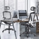 The Gabryllly Ergonomic Office Chair High Back Home Desk Chair - Grey - Like New