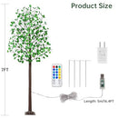 REMON 7FT 170 LED Lighted Eucalyptus Tree - Deco Tree, 17 Branches, 340 Leaves - Like New