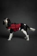 NOAH & PAW DOG LIFE JACKET DESIGNED WITH HUMAN STANDARDS 4X FOAM 4X  - BURGUNDY - Like New